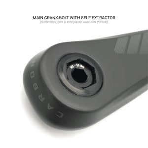 PRAXIS BROSE / FAZUA ISIS E-CRANK SET CARBON 165mm